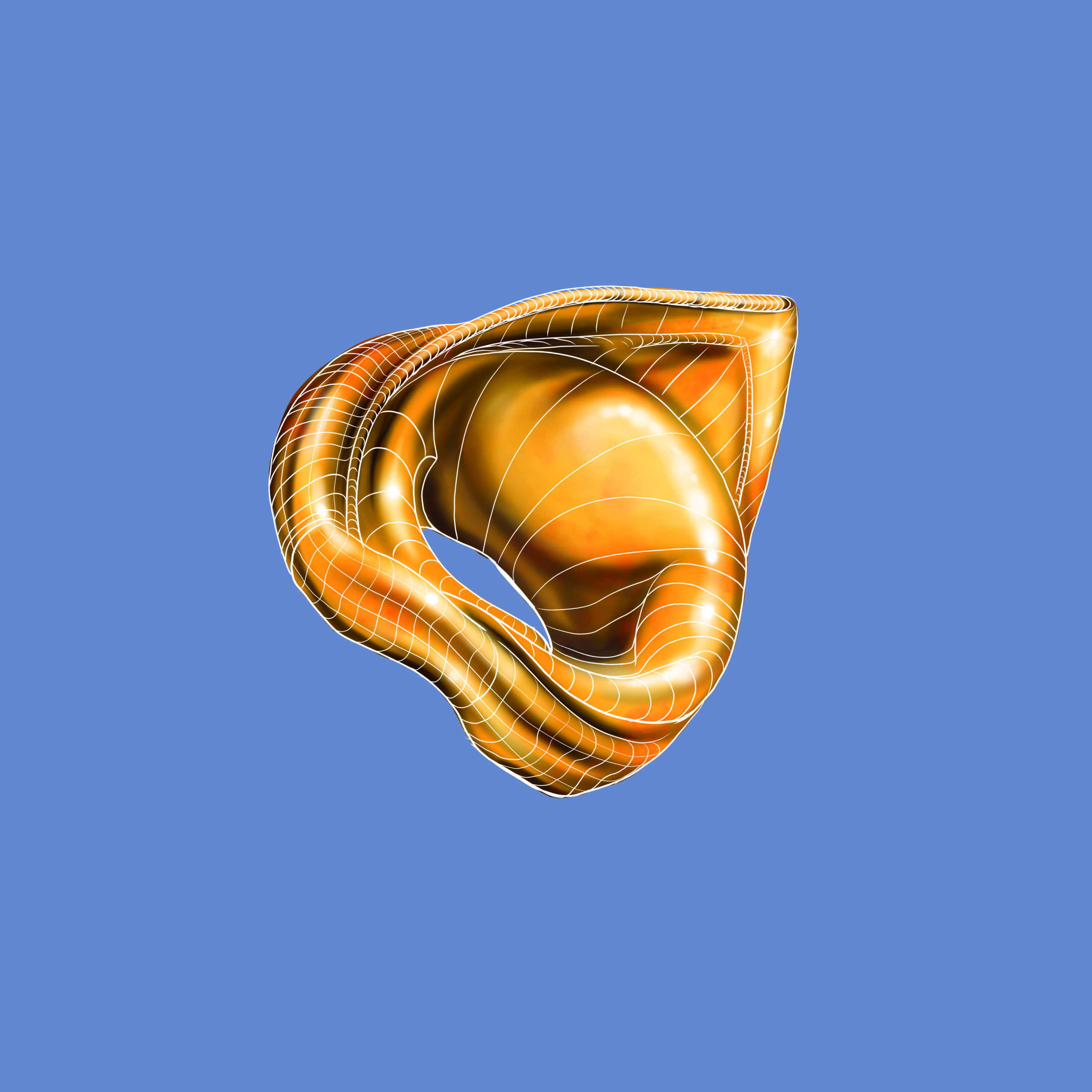 torted_2